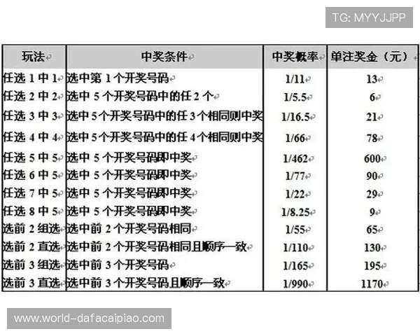 掌握彩票投注技巧与选号策略全面提升中奖概率指南
